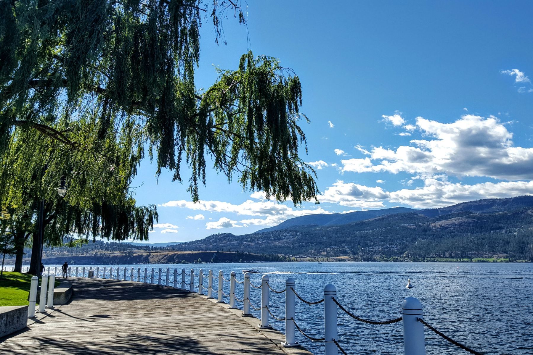 Kelowna 1